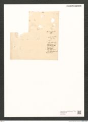 Diatomeae indet. Zeichnungen Sammlung Grunow (NHMW-BOT-W0370801)